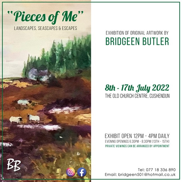 Pieces-of-me-_E_Advertisement
